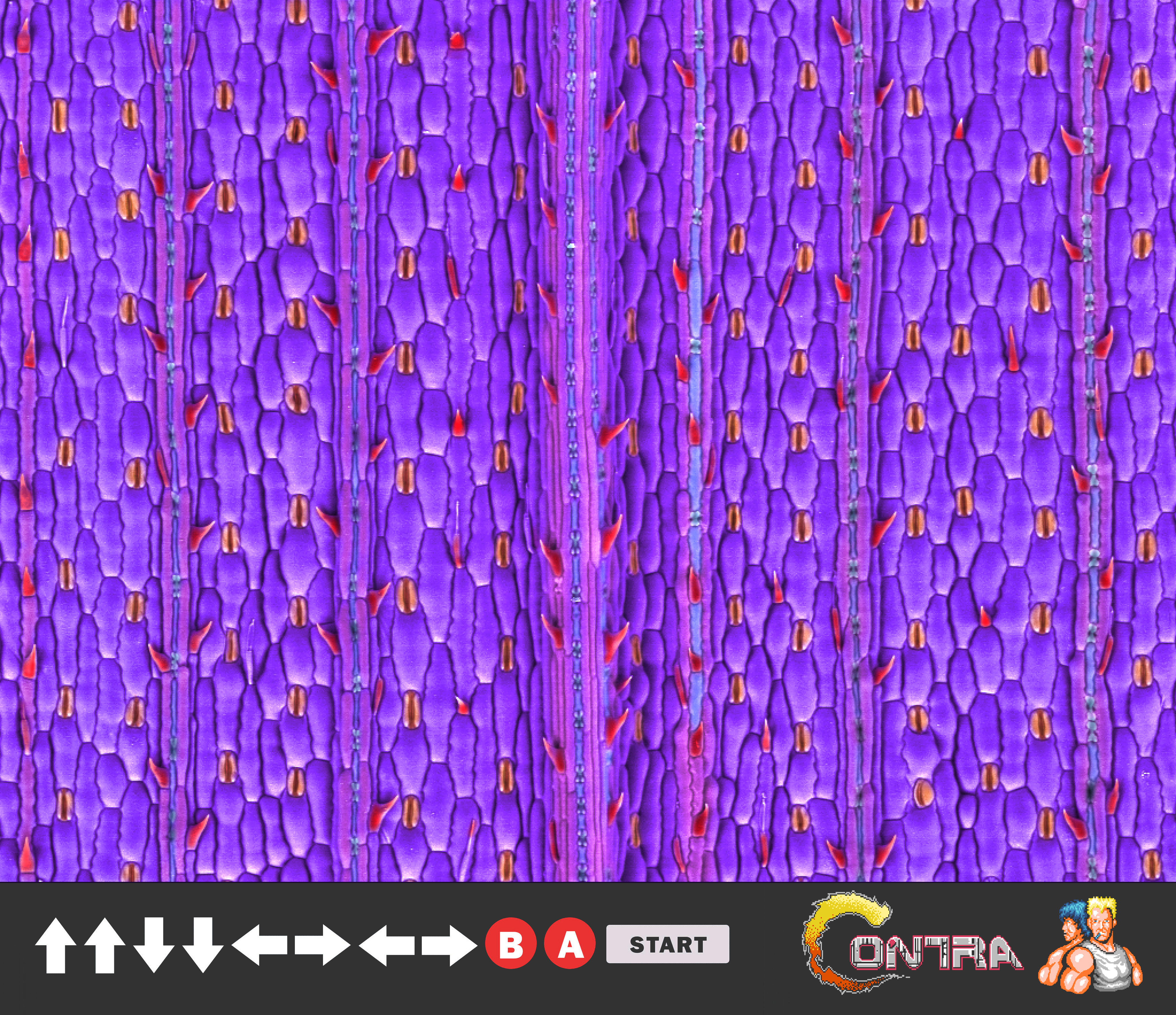 Coloring an Electron Microscope Image – ZXmake.dev
